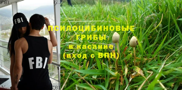 MESCALINE Гусев