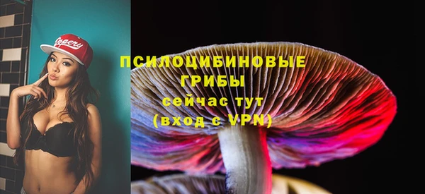 мефедрон Гусиноозёрск